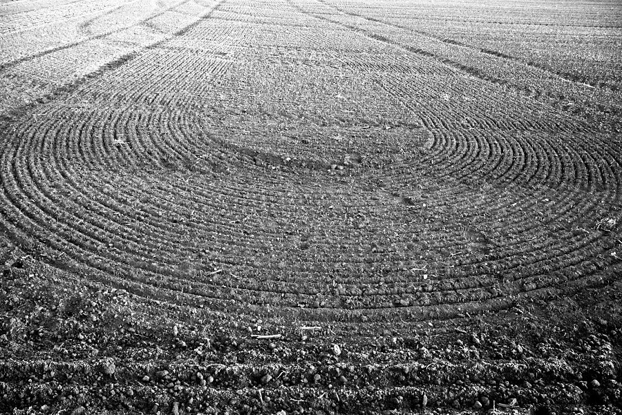 agroart 13