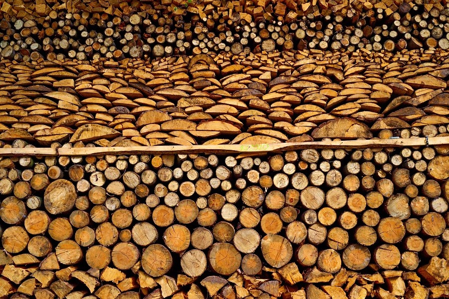samé dřevo