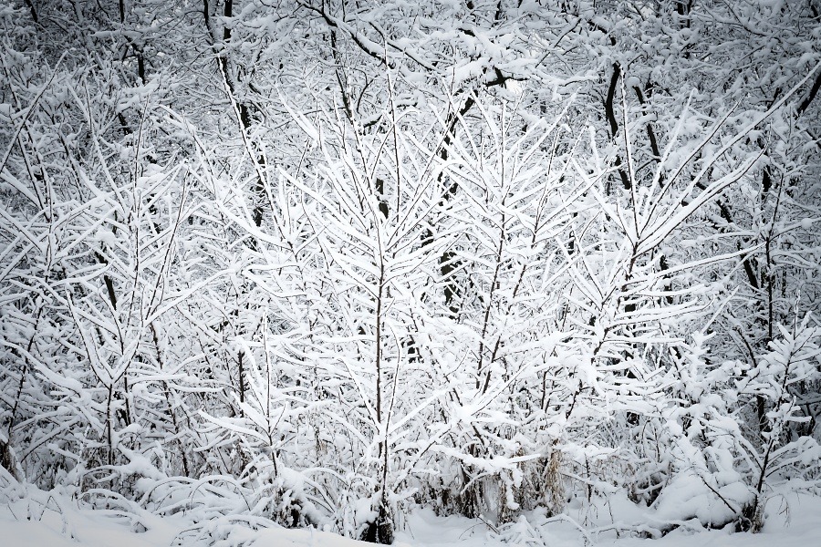 pod sněhem 5