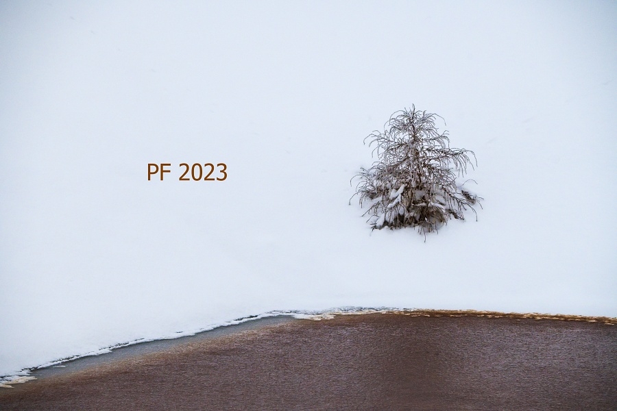 PF 2023