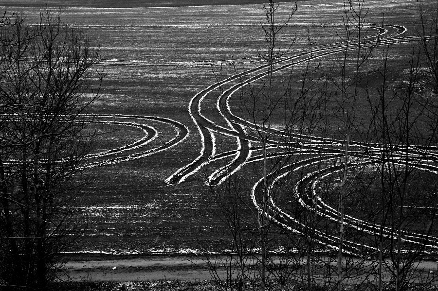 agroart za stromy 2