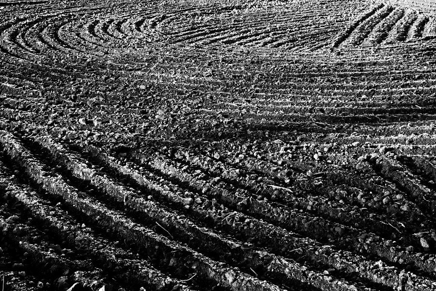 agroart 40