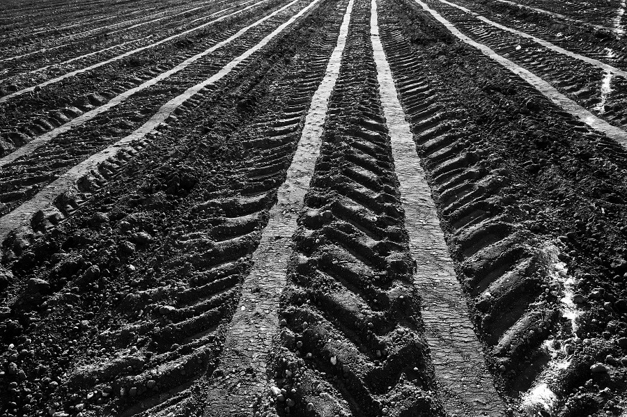 agroart 45
