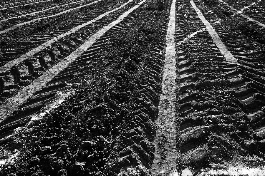 agroart 46