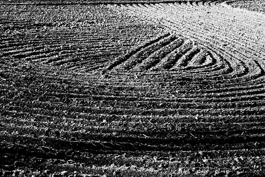 agroart 42