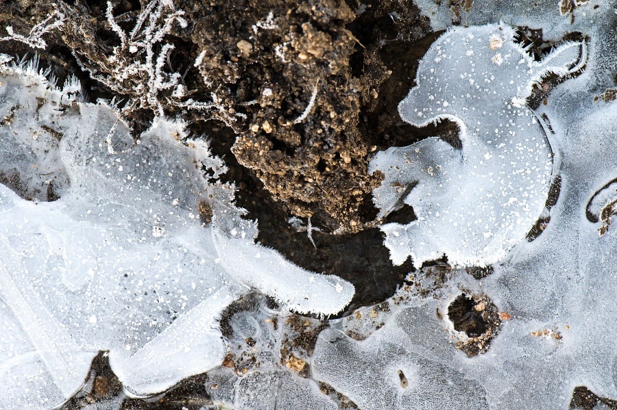 naštvanej a králíček