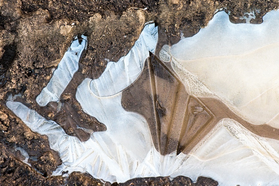 pelikán a tojůhelníky