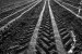 agroart 45