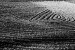 agroart 42